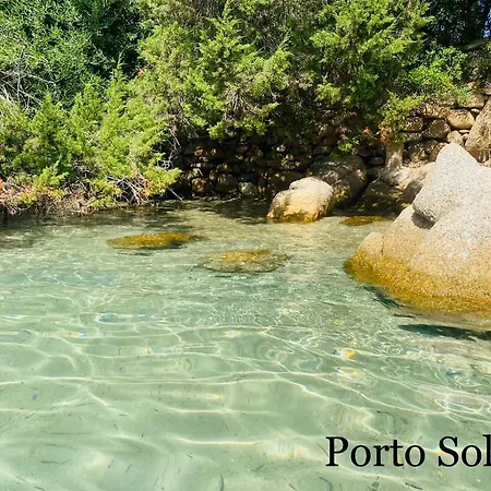 Medusa Baja Sardinia Cala Bitta